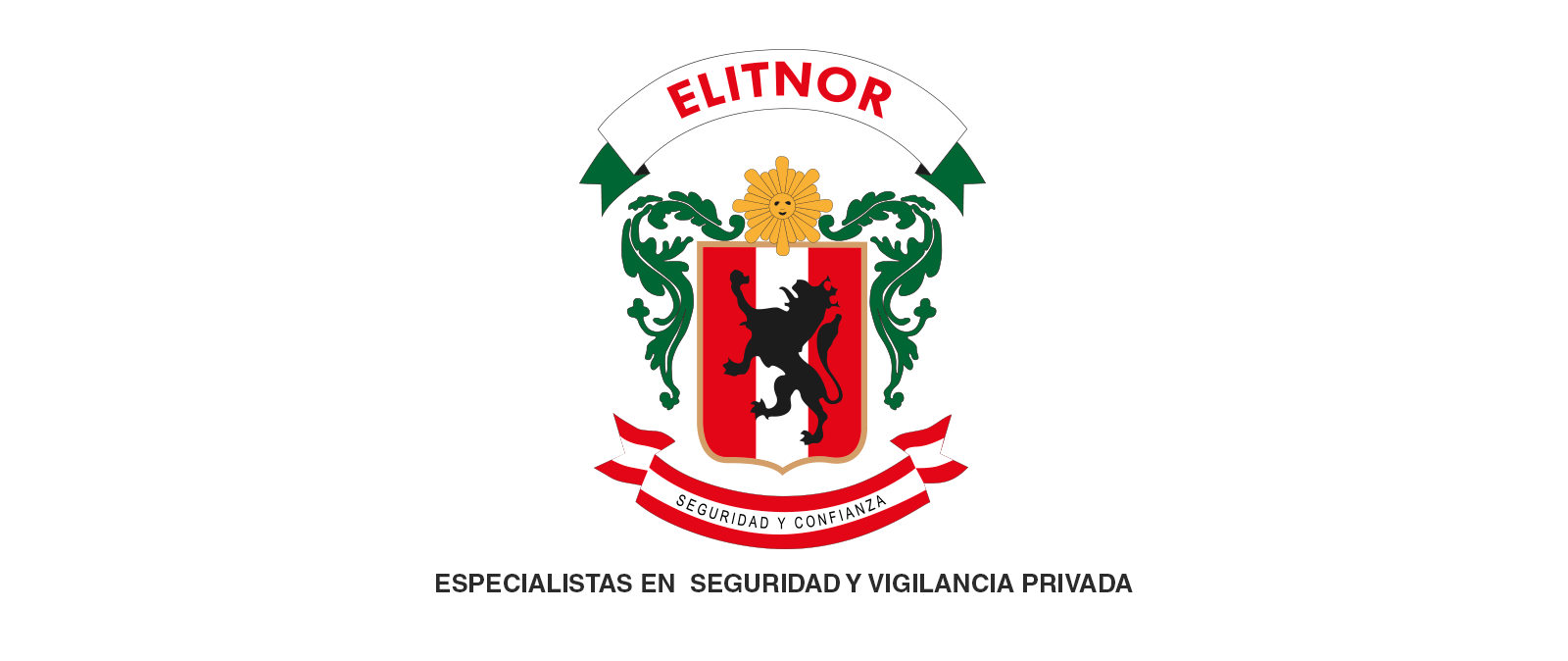 Especialistas en  seguridad y vigilancia privada