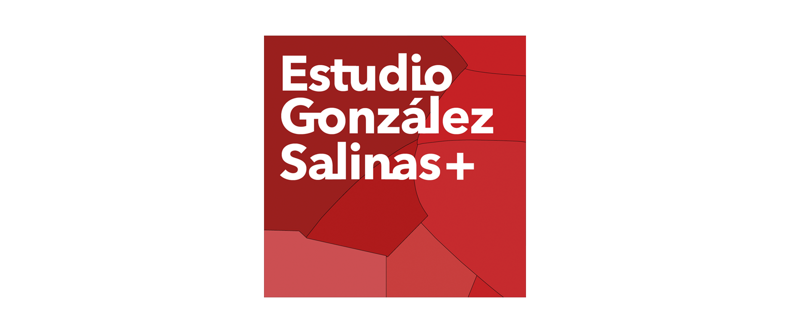 Estudio Gonzalez Salinas